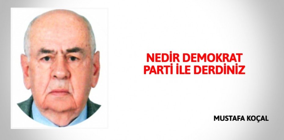 NEDİR DEMOKRAT PARTİ İLE DERDİNİZ