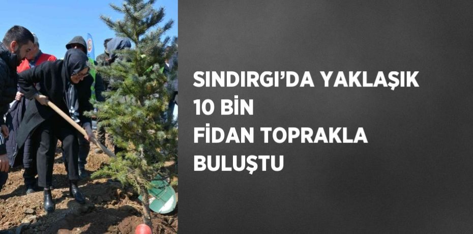 SINDIRGI’DA YAKLAŞIK 10 BİN FİDAN TOPRAKLA BULUŞTU