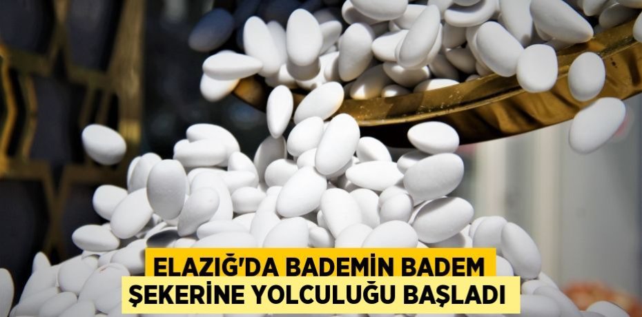 Elazığ'da bademin badem şekerine yolculuğu başladı