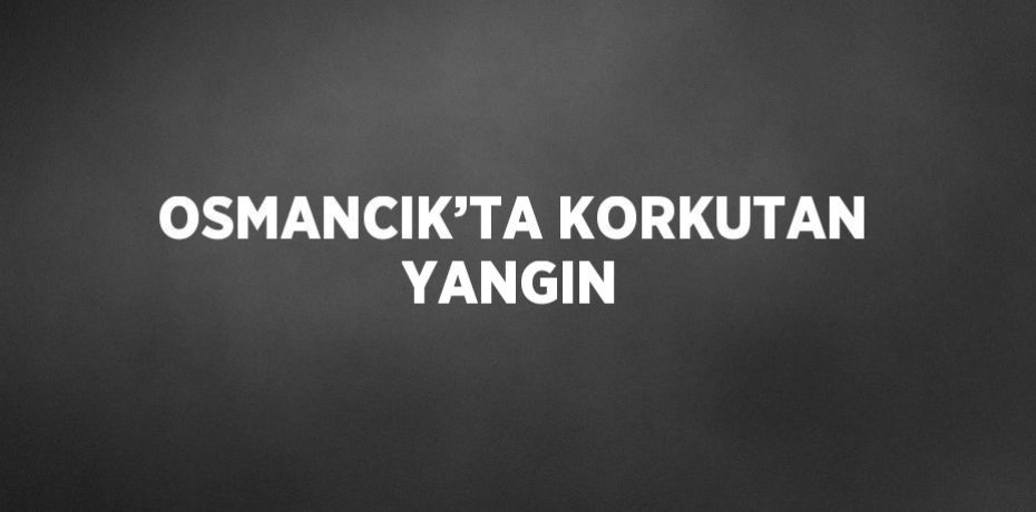 OSMANCIK’TA KORKUTAN YANGIN