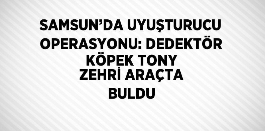 SAMSUN’DA UYUŞTURUCU OPERASYONU: DEDEKTÖR KÖPEK TONY ZEHRİ ARAÇTA BULDU