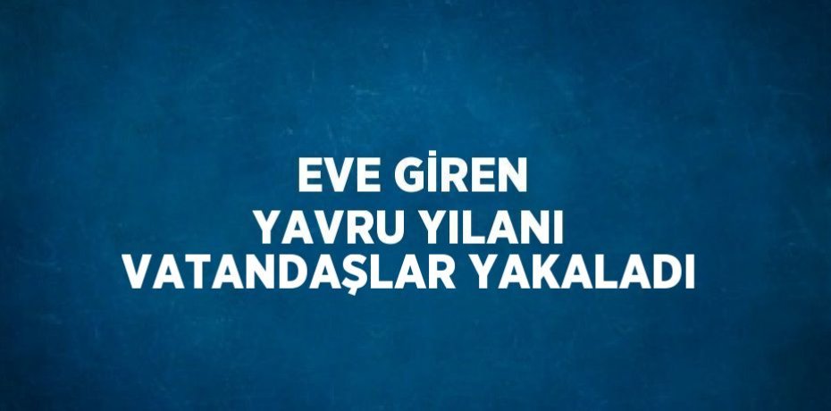 EVE GİREN YAVRU YILANI VATANDAŞLAR YAKALADI