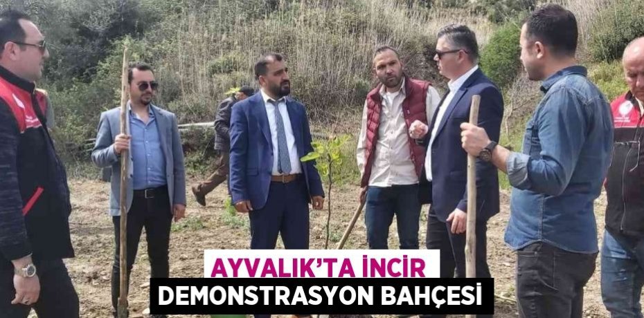 AYVALIK’TA İNCİR DEMONSTRASYON BAHÇESİ