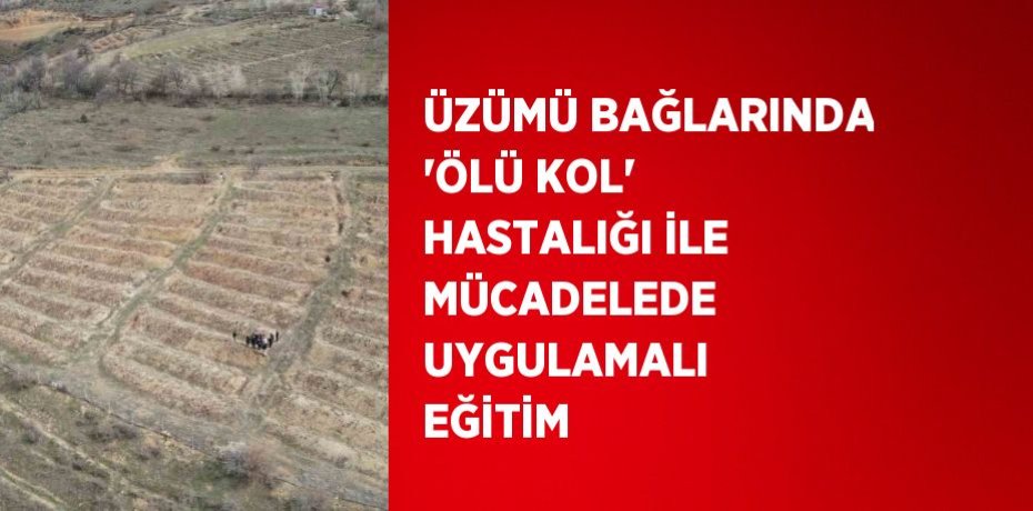 ÜZÜMÜ BAĞLARINDA 'ÖLÜ KOL' HASTALIĞI İLE MÜCADELEDE UYGULAMALI EĞİTİM