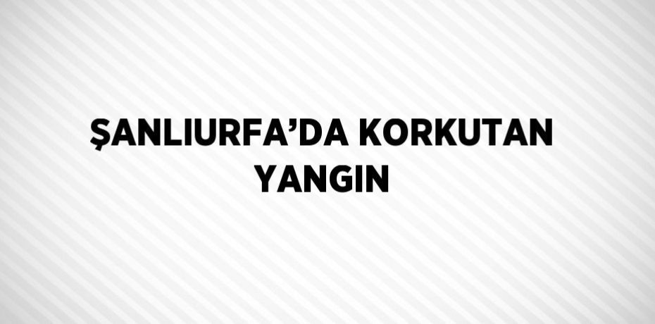 ŞANLIURFA’DA KORKUTAN YANGIN