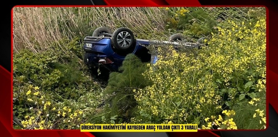 Direksiyon hakimiyetini kaybeden araç yoldan çıktı: 3 yaralı  