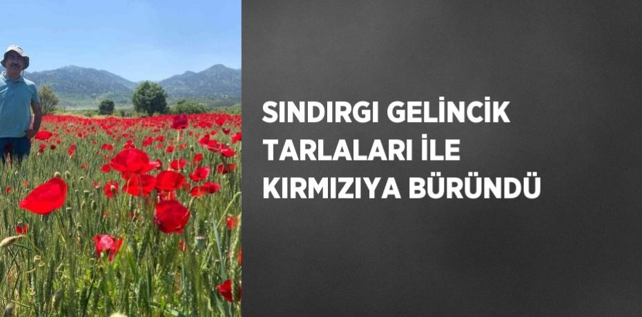 SINDIRGI GELİNCİK TARLALARI İLE KIRMIZIYA BÜRÜNDÜ