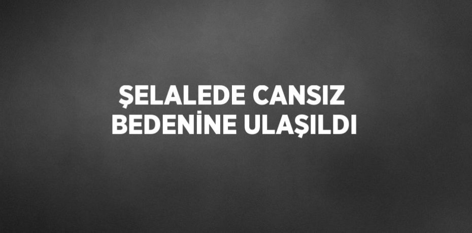ŞELALEDE CANSIZ BEDENİNE ULAŞILDI