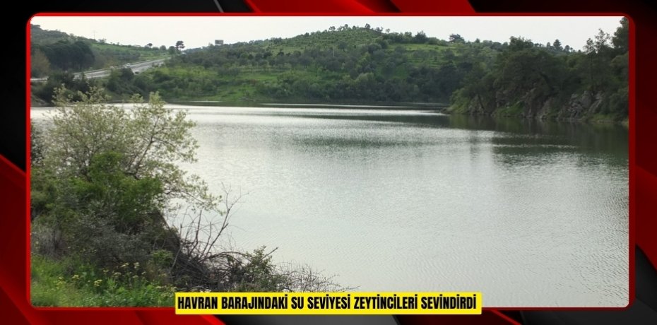 Havran Barajındaki su seviyesi zeytincileri sevindirdi
