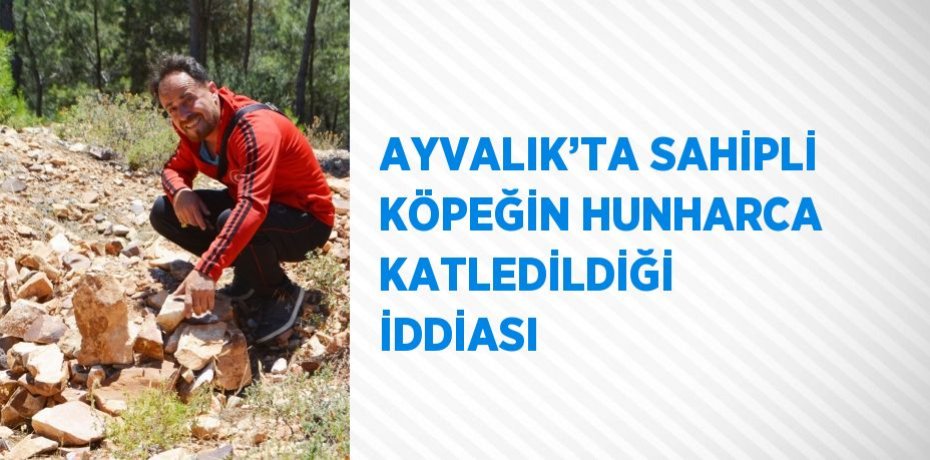 AYVALIK’TA SAHİPLİ KÖPEĞİN HUNHARCA KATLEDİLDİĞİ İDDİASI