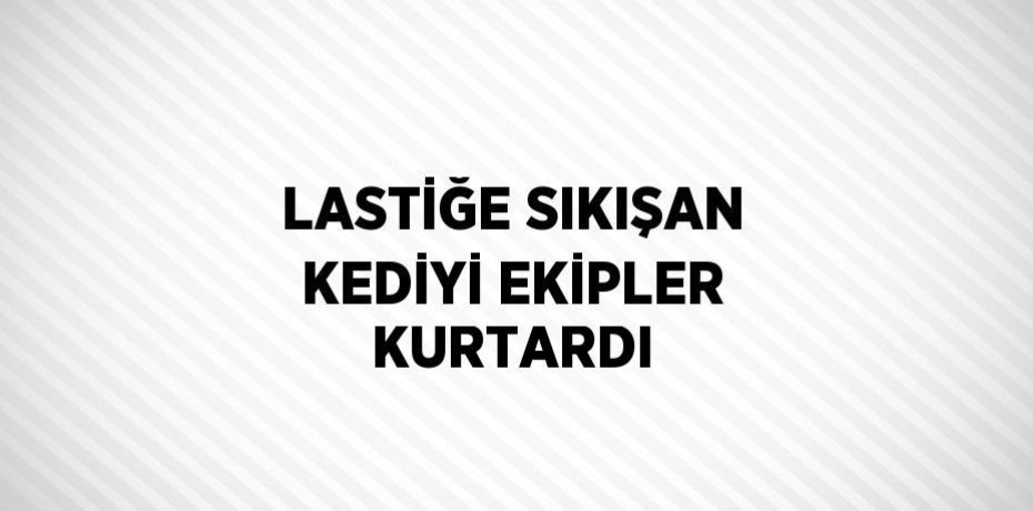 LASTİĞE SIKIŞAN KEDİYİ EKİPLER KURTARDI