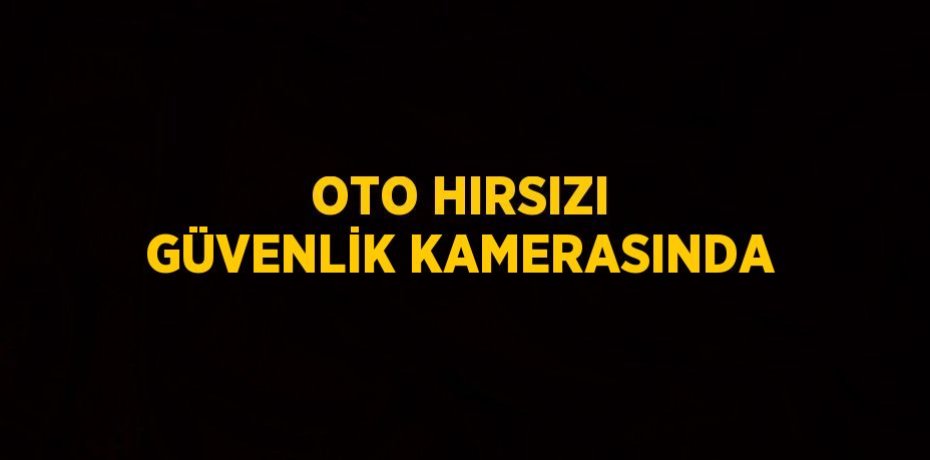 OTO HIRSIZI GÜVENLİK KAMERASINDA