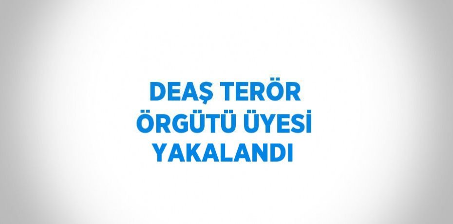 DEAŞ TERÖR ÖRGÜTÜ ÜYESİ YAKALANDI