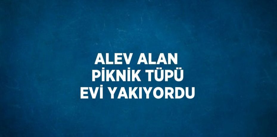 ALEV ALAN PİKNİK TÜPÜ EVİ YAKIYORDU