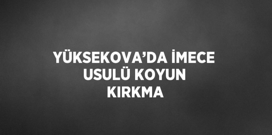 YÜKSEKOVA’DA İMECE USULÜ KOYUN KIRKMA