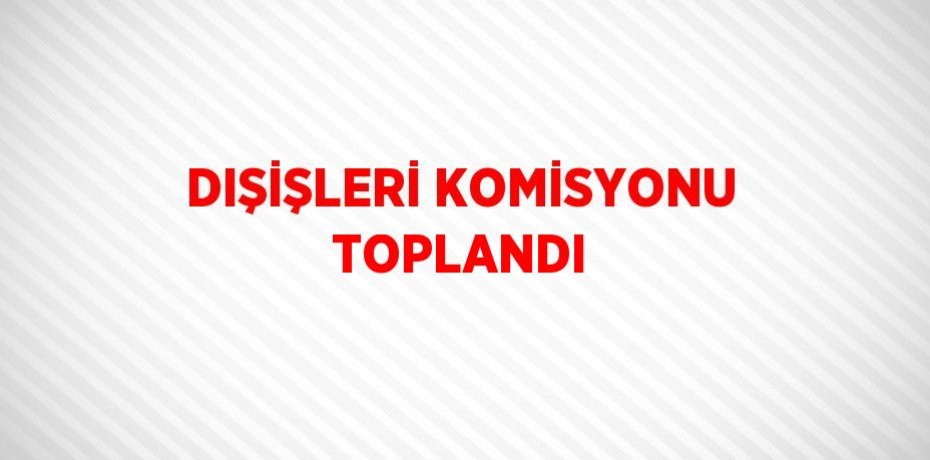 DIŞİŞLERİ KOMİSYONU TOPLANDI
