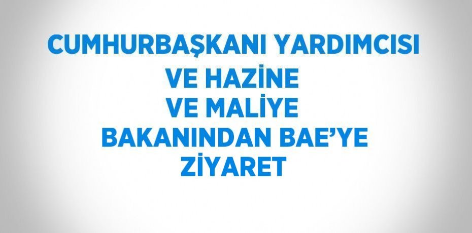 CUMHURBAŞKANI YARDIMCISI VE HAZİNE VE MALİYE BAKANINDAN BAE’YE ZİYARET