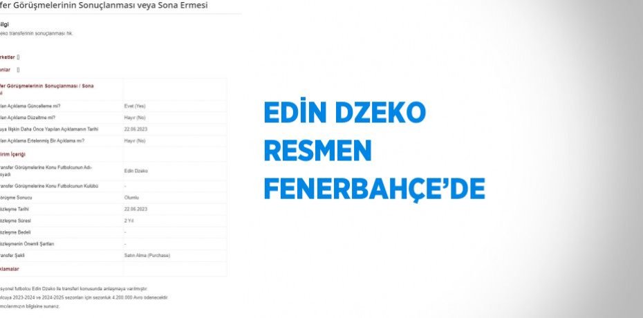 EDİN DZEKO RESMEN FENERBAHÇE’DE