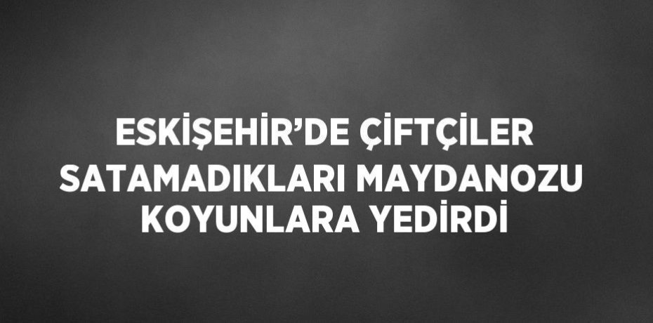 ESKİŞEHİR’DE ÇİFTÇİLER SATAMADIKLARI MAYDANOZU KOYUNLARA YEDİRDİ