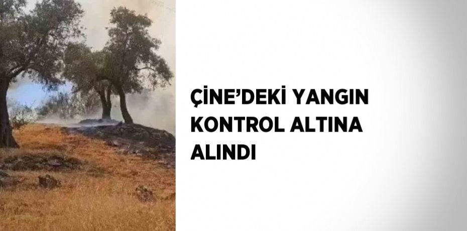 ÇİNE’DEKİ YANGIN KONTROL ALTINA ALINDI