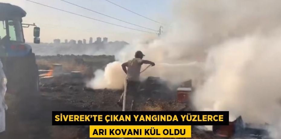 SİVEREK’TE ÇIKAN YANGINDA YÜZLERCE ARI KOVANI KÜL OLDU