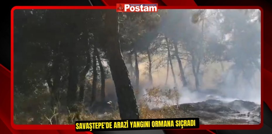 Savaştepe'de arazi yangını ormana sıçradı  