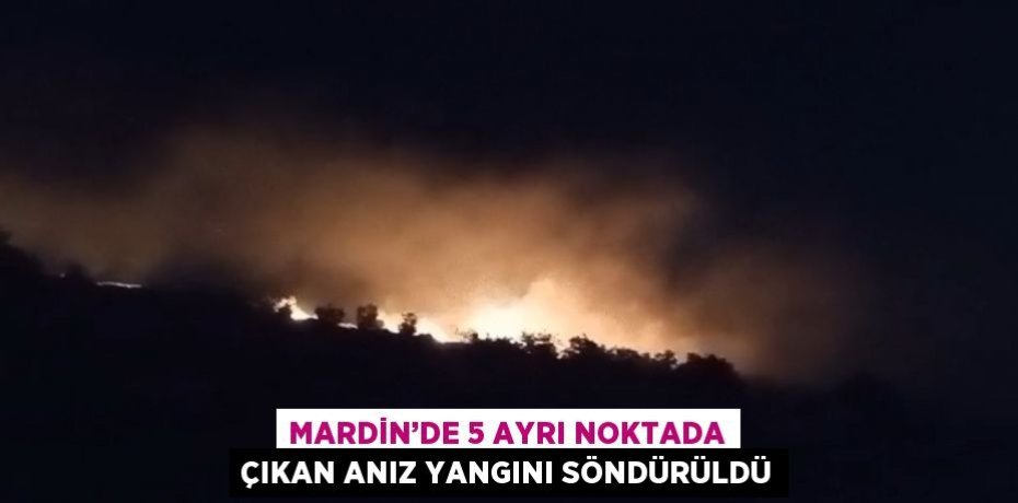 MARDİN’DE 5 AYRI NOKTADA ÇIKAN ANIZ YANGINI SÖNDÜRÜLDÜ