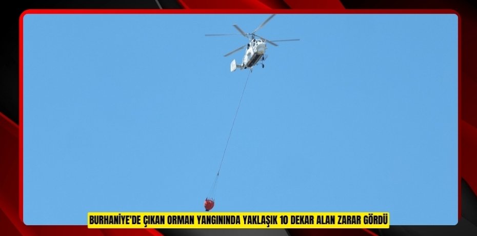 Burhaniye'de çıkan orman yangınında yaklaşık 10 dekar alan zarar gördü