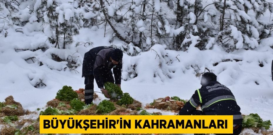 Büyükşehir’in kahramanları