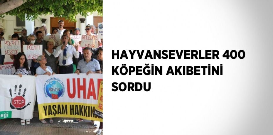 HAYVANSEVERLER 400 KÖPEĞİN AKIBETİNİ SORDU
