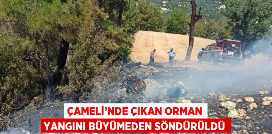 ÇAMELİ’NDE ÇIKAN ORMAN YANGINI BÜYÜMEDEN SÖNDÜRÜLDÜ
