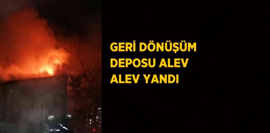 GERİ DÖNÜŞÜM DEPOSU ALEV ALEV YANDI