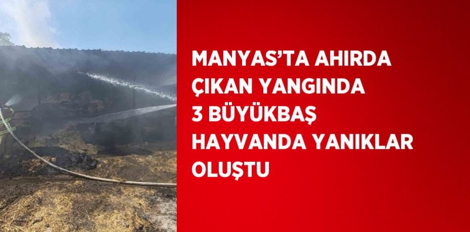 MANYAS’TA AHIRDA ÇIKAN YANGINDA 3 BÜYÜKBAŞ HAYVANDA YANIKLAR OLUŞTU
