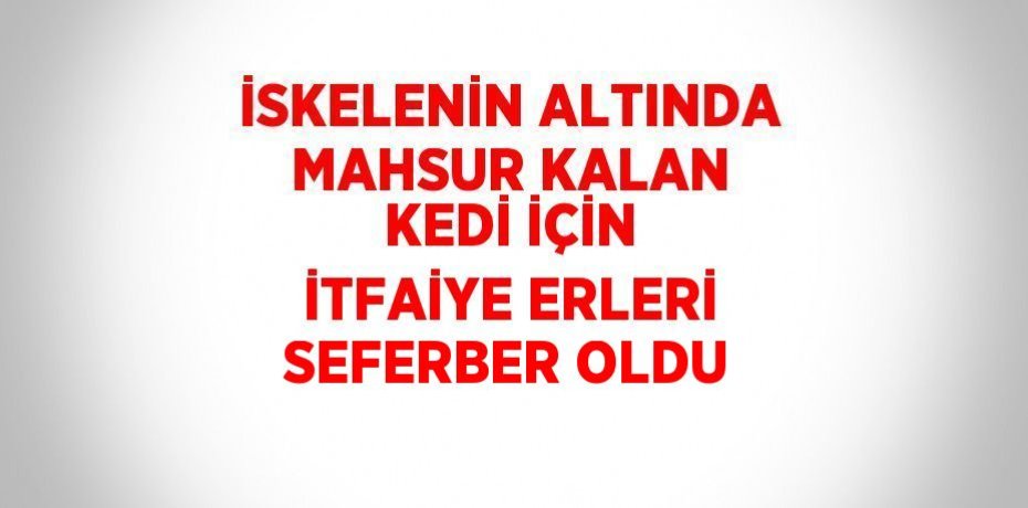 İSKELENİN ALTINDA MAHSUR KALAN KEDİ İÇİN İTFAİYE ERLERİ SEFERBER OLDU