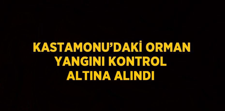 KASTAMONU’DAKİ ORMAN YANGINI KONTROL ALTINA ALINDI