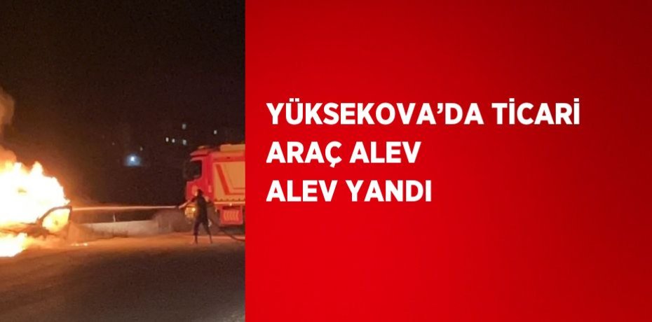 YÜKSEKOVA’DA TİCARİ ARAÇ ALEV ALEV YANDI