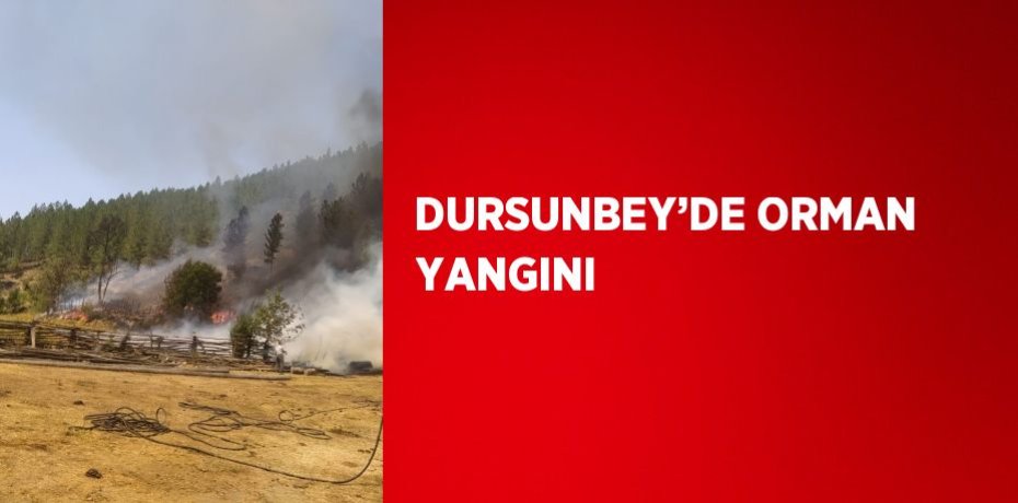 DURSUNBEY’DE ORMAN YANGINI