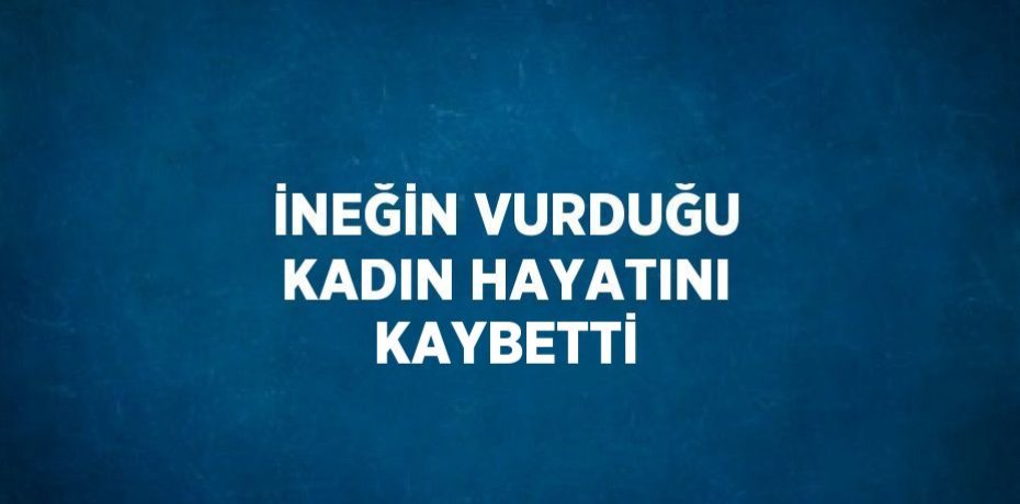 İNEĞİN VURDUĞU KADIN HAYATINI KAYBETTİ