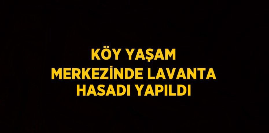 KÖY YAŞAM MERKEZİNDE LAVANTA HASADI YAPILDI