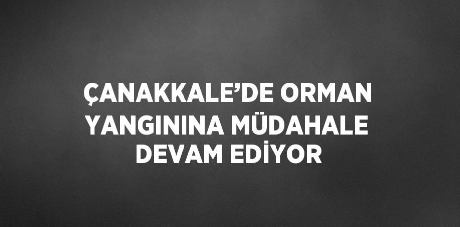 ÇANAKKALE’DE ORMAN YANGININA MÜDAHALE DEVAM EDİYOR