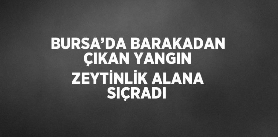 BURSA’DA BARAKADAN ÇIKAN YANGIN ZEYTİNLİK ALANA SIÇRADI