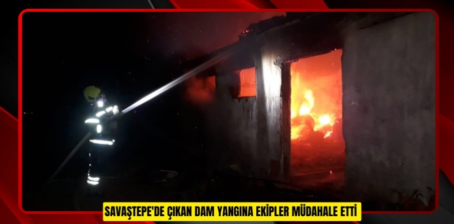 SAVAŞTEPE'DE ÇIKAN DAM YANGINA EKİPLER MÜDAHALE ETTİ