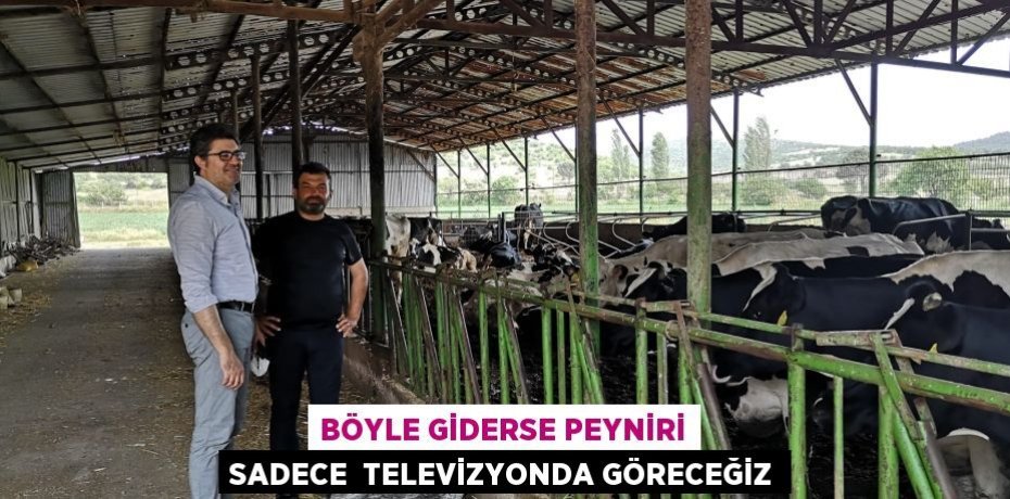 BÖYLE GİDERSE PEYNİRİ SADECE  TELEVİZYONDA GÖRECEĞİZ
