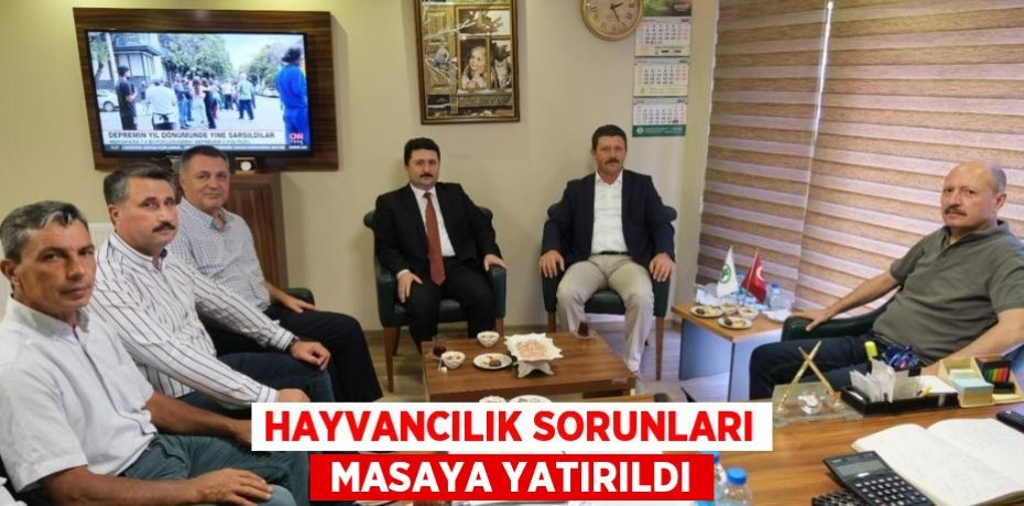 HAYVANCILIK SORUNLARI  MASAYA YATIRILDI