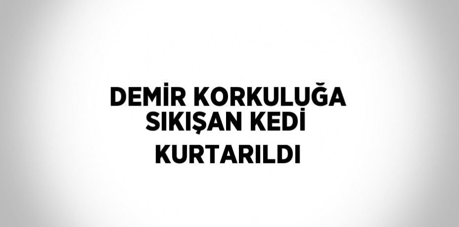 DEMİR KORKULUĞA SIKIŞAN KEDİ KURTARILDI