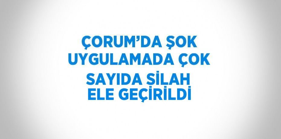 ÇORUM’DA ŞOK UYGULAMADA ÇOK SAYIDA SİLAH ELE GEÇİRİLDİ