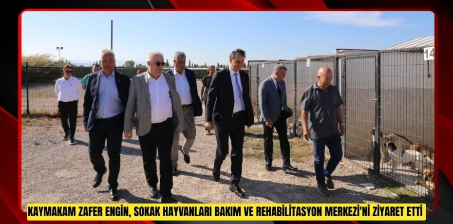 Kaymakam Zafer Engin, Sokak Hayvanları Bakım ve Rehabilitasyon Merkezi'ni ziyaret etti  
