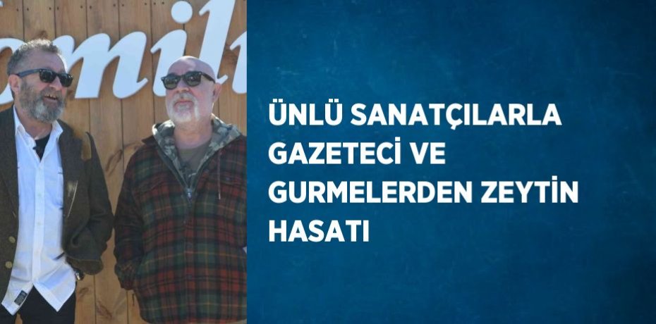 ÜNLÜ SANATÇILARLA GAZETECİ VE GURMELERDEN ZEYTİN HASATI