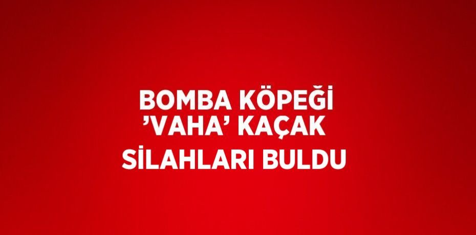 BOMBA KÖPEĞİ ’VAHA’ KAÇAK SİLAHLARI BULDU
