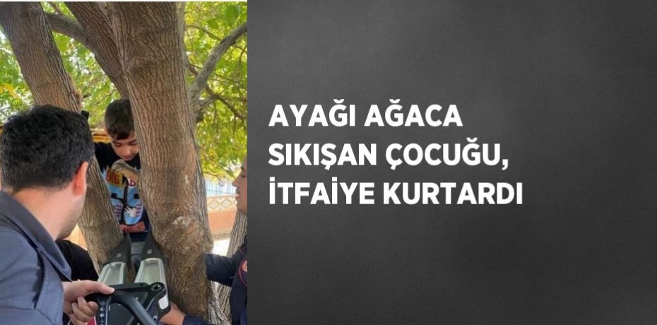 AYAĞI AĞACA SIKIŞAN ÇOCUĞU, İTFAİYE KURTARDI